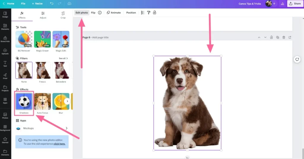 Adding Shadows To Images On Canva