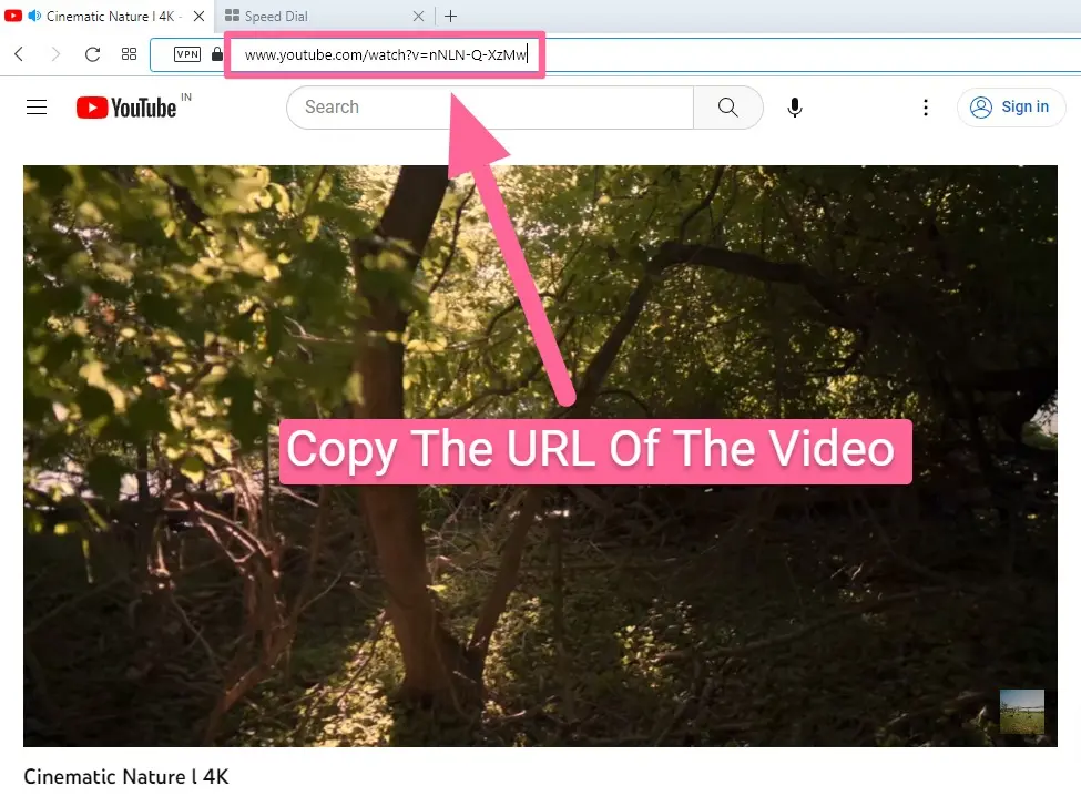 How to embed a youtube video in canva