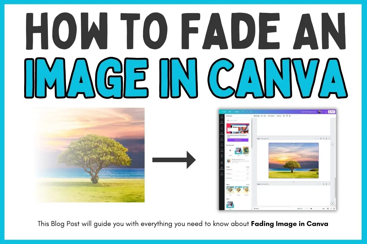 How To Get A Clear Background On An Image In Canva