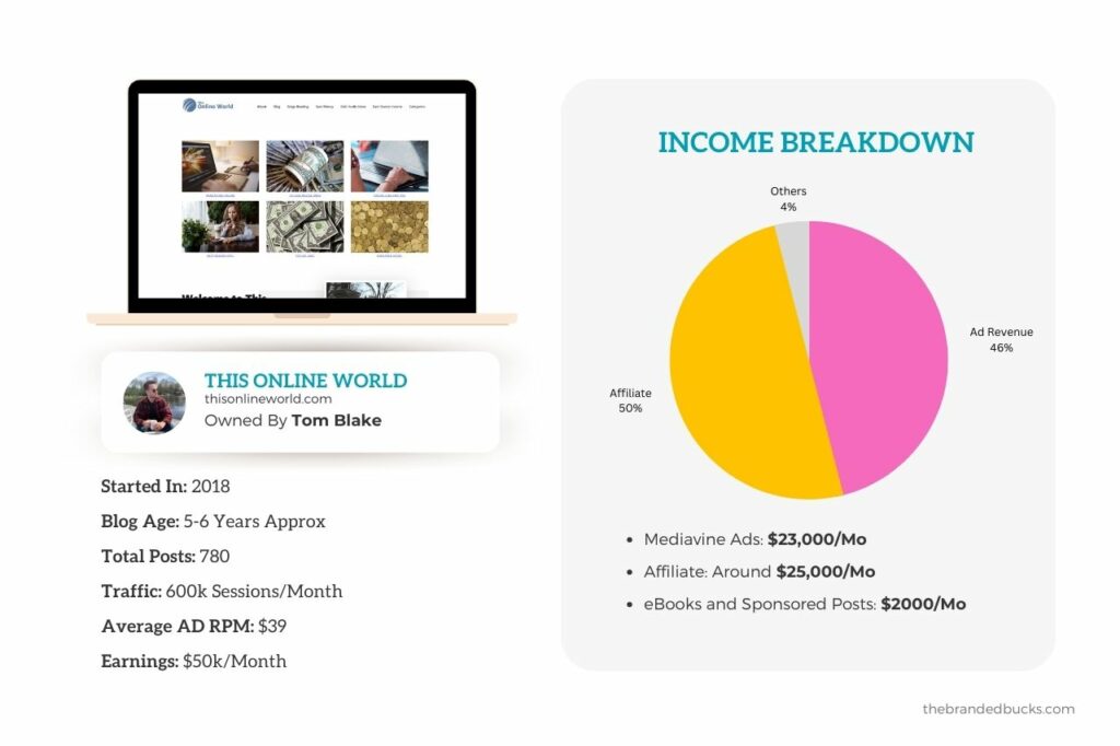 ThisOnlineWorld Income Breakdown 1